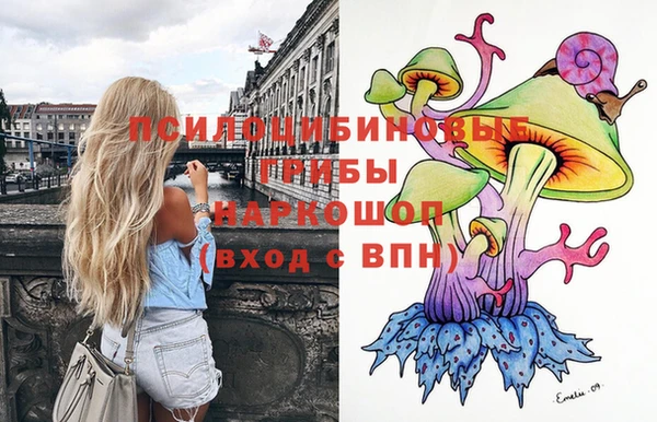 соль курить ск Алексеевка